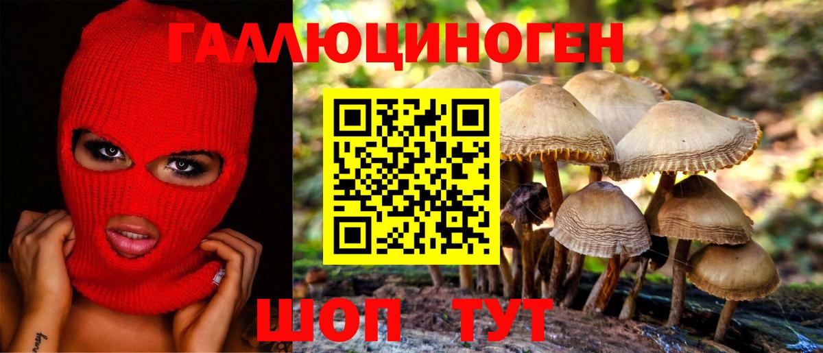Алейск  цены наркотик  Вход с VPN  Галлюциногенные грибы мухоморы 