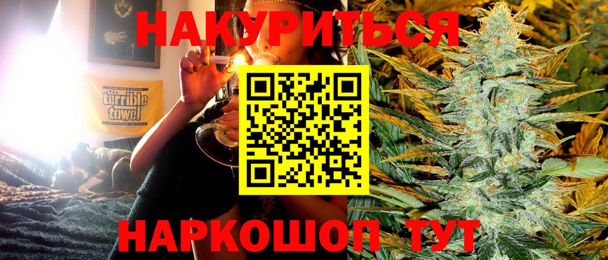 Каннабис планчик Алейск
